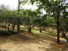 Foto Terreno agricolo in Vendita in zona LECCIO con giardino