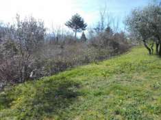 Foto Terreno agricolo in Vendita in zona MONTORSOLI con giardino