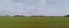 Foto Terreno agricolo in Vendita in zona SAN PIETRO IN GUARDIANO