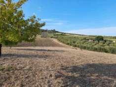 Foto Terreno agricolo in Vendita in zona SANT'ANTONIO con giardino