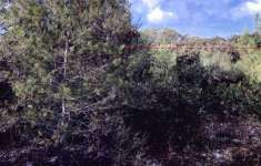 Foto Terreno agricolo in vendita Localit  Rizzeddu - Gioscari (Ss)