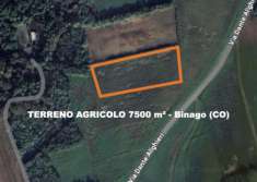 Foto Terreno agricolo pianeggiante  Binago (CO)  7.500 m