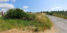 Foto TERRENO AGRICOLO PIANEGGIANTE A CIVITAVECCHIA SULLA STRADA DELLE MOLACCE