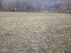 Foto Terreno Agricolo pianeggiante mq 17000 + stalla