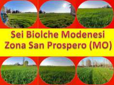 Foto Terreno Agricolo Seminativo da 6 Biolche Modenesi