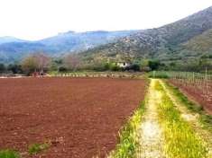 Foto TERRENO AGRICOLO STRADA PROVINCIALE FALCIANO-MONDRAGONE - MONDRAGONE -Rif. V3138