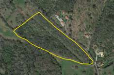 Foto Terreno agricolo su strada comunale per Vetulonia (Castiglione della Pescaia)