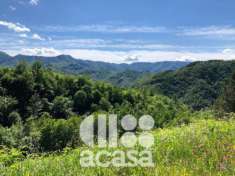 Foto TERRENO BOSCHIVO ED AGRICOLO