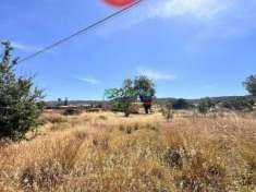 Foto TERRENO CON ACCATASTAMENTI RURALI