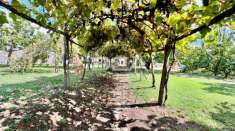 Foto Terreno con rustico in vendita a Barga