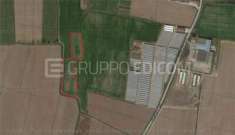 Foto Terreno di 10.43 mq  in vendita a Salizzole - Rif. 4455520