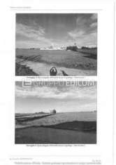 Foto Terreno di 12052 mq  in vendita a San Pancrazio Salentino - Rif. 4521914