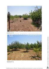 Foto Terreno di 12200 mq  in vendita a Turi - Rif. 4505177