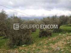 Foto Terreno di 1302 mq  in vendita a Baucina - Rif. 4509098