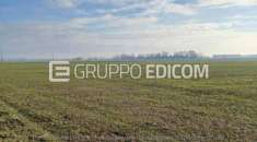 Foto Terreno di 132.11 mq  in vendita a Povegliano Veronese - Rif. 4528355