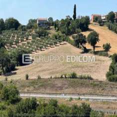 Foto Terreno di 14090 mq  in vendita a Bonito - Rif. 4499948