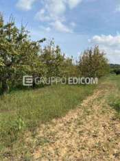Foto Terreno di 1451 mq  in vendita a Cutrofiano - Rif. 4519024