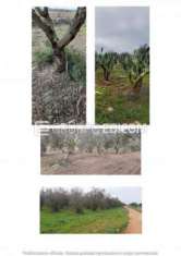 Foto Terreno di 176.88 mq  in vendita a Nard� - Rif. 4530841