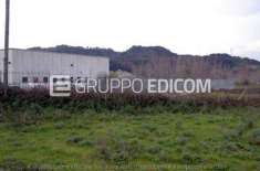 Foto Terreno di 1940 mq  in vendita a Feroleto Antico - Rif. 4520823