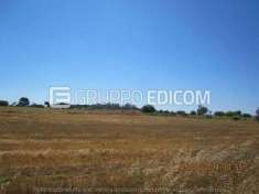 Foto Terreno di 21010 mq  in vendita a Crotone - Rif. 4501625