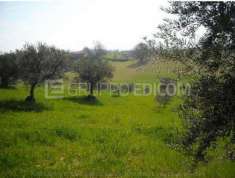 Foto Terreno di 21220 mq  in vendita a Roggiano Gravina - Rif. 4449670