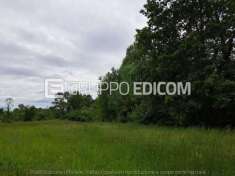 Foto Terreno di 21740 mq  in vendita a Pinzano al Tagliamento - Rif. 4499061