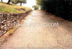Foto Terreno di 225 mq  in vendita a Mendicino - Rif. 4509277