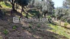 Foto Terreno di 2268 mq  in vendita a Magisano - Rif. 4496402