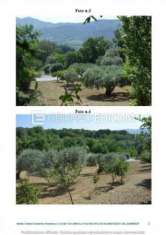 Foto Terreno di 2310 mq  in vendita a San Giorgio Lucano - Rif. 4526629