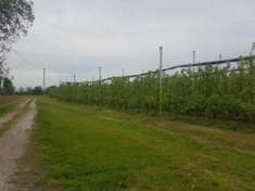 Foto Terreno di 240 m in vendita a Soliera