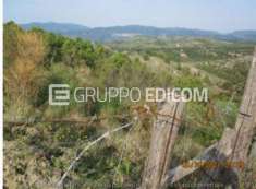 Foto Terreno di 253354 mq  in vendita a Roccabernarda - Rif. 4502881