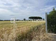 Foto Terreno di 25743 mq  in vendita a Ravenna - Rif. 4524380