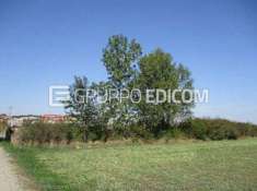 Foto Terreno di 2860 mq  in vendita a Piovera - Rif. 4514904