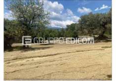 Foto Terreno di 3.41 mq  in vendita a Benestare - Rif. 4501364