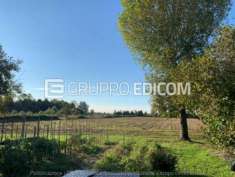Foto Terreno di 3.87 mq  in vendita a Camponogara - Rif. 4509829