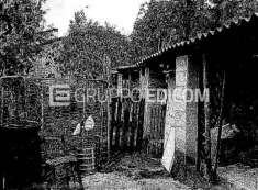 Foto Terreno di 300 mq  in vendita a Carlopoli - Rif. 4525161