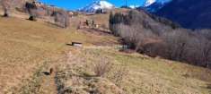Foto Terreno di 3500 m in vendita a Ardesio
