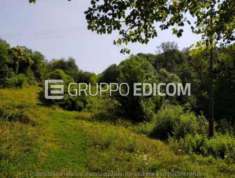 Foto Terreno di 35412 mq  in vendita a San Zenone degli Ezzelini - Rif. 4512984