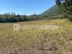 Foto Terreno di 3750 mq  in vendita a Faicchio - Rif. 4500514