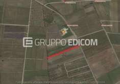 Foto Terreno di 3750 mq  in vendita a Salice Salentino - Rif. 4508708