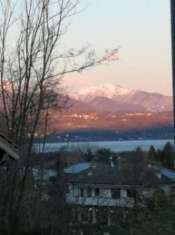 Foto Terreno di 3935 m in vendita a Ternate