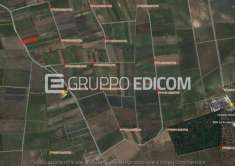 Foto Terreno di 3948 mq  in vendita a Salice Salentino - Rif. 4508709
