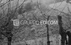 Foto Terreno di 42289 mq  in vendita a Tregnago - Rif. 4509973