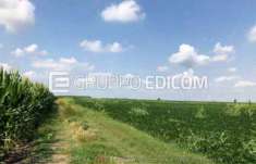 Foto Terreno di 4514 mq  in vendita a Legnago - Rif. 4503213