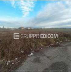 Foto Terreno di 4668 mq  in vendita a Badia Polesine - Rif. 3533194