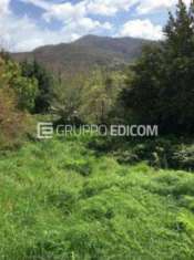 Foto Terreno di 471 mq  in vendita a Petruro Irpino - Rif. 4499556