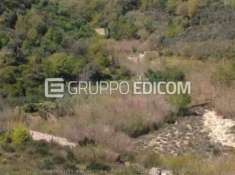 Foto Terreno di 5.21 mq  in vendita a Santa Caterina dello Ionio - Rif. 4520870