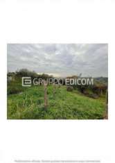 Foto Terreno di 5000 mq  in vendita a Fara in Sabina - Rif. 4507084