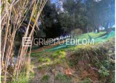 Foto Terreno di 5340 mq  in vendita a Stefanaconi - Rif. 4514862