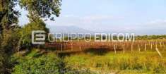 Foto Terreno di 5620 mq  in vendita a Solopaca - Rif. 4505087